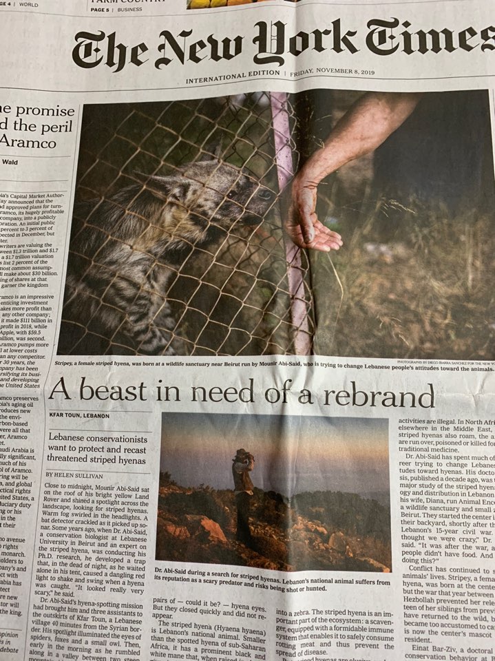 THE NEW YORK TIMES